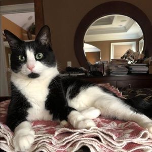 Meet your Posher, Jaymini